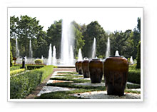 HRH Princess Maha Chakri Sirindhorn Herbs Garden